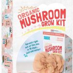 Back to the Roots Oyster Mushrooms